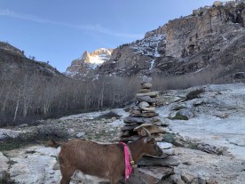 Found the trail