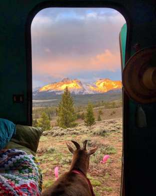 Taking in the view