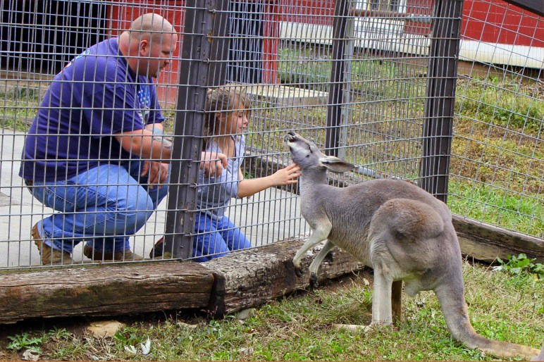 Smoky Mountain Deer Farm and Exotic Petting Zoo