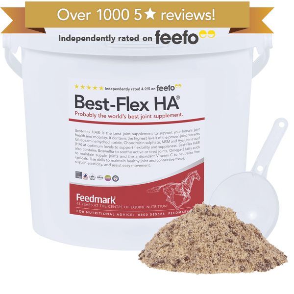 BestFlex HA® Probably the world's best horse joint supplement Feedmark