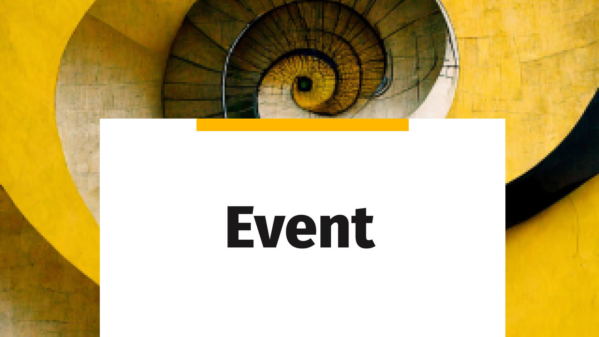 Earnings Call Q4 and FY 2023 announcement