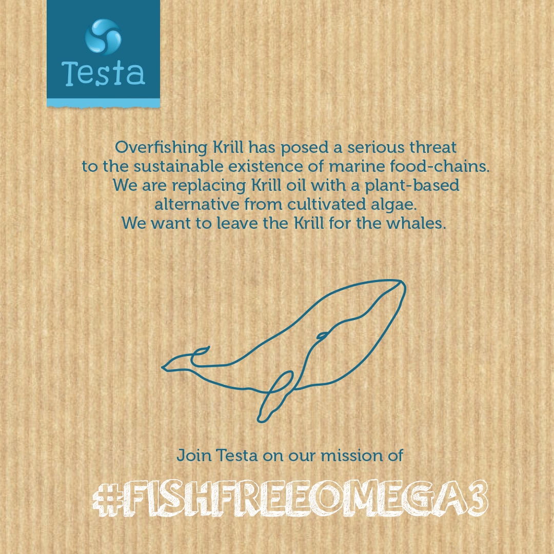 Shop Testa Vrill Vegan Krill Oil Supplements Made With Algae