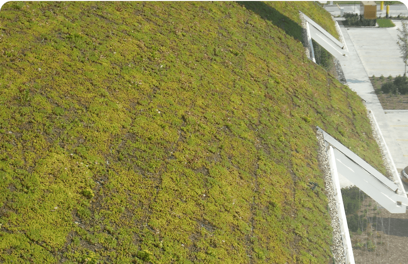 Sustainability Testa Produce