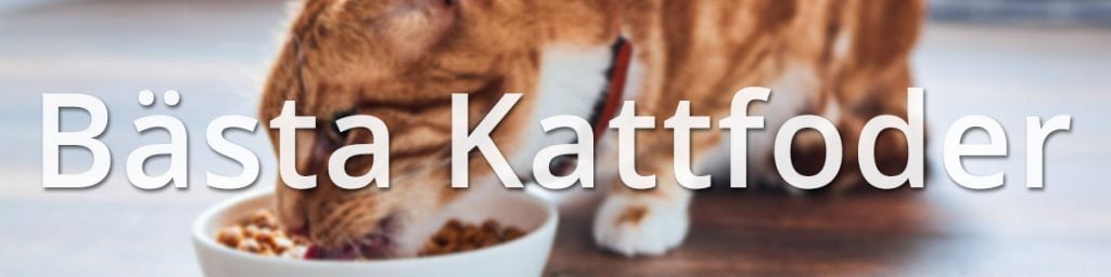 Bästa Kattmaten Tester på torrfoder för katter Testat.nu