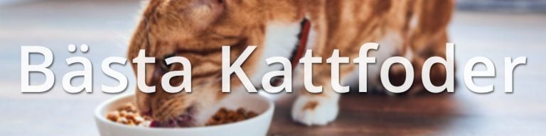 Bästa Kattmaten Tester på torrfoder för katter Testat.nu