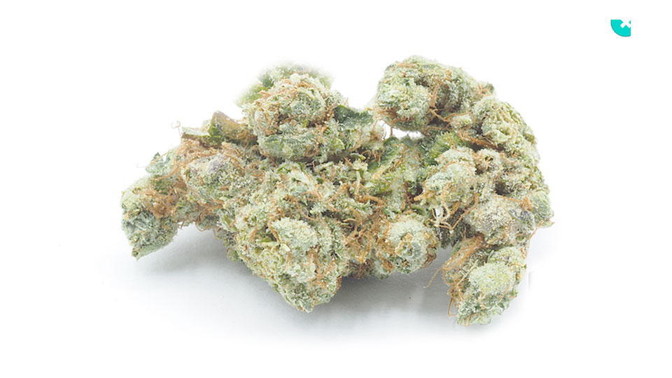 Fruity Pebbles OG Tested Weed