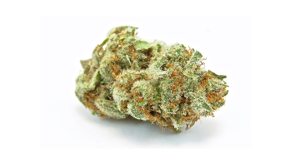 Garlic Breath Tested Weed