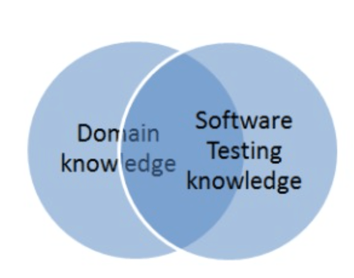Best Software Testing Companies Share Their Knowledge on Domain Testing