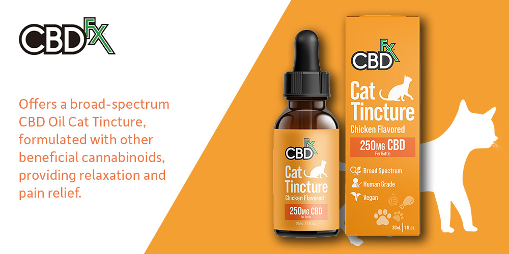 CBD Cat Treats and Oils 5 CBD Cat Products for Holistic Wellness