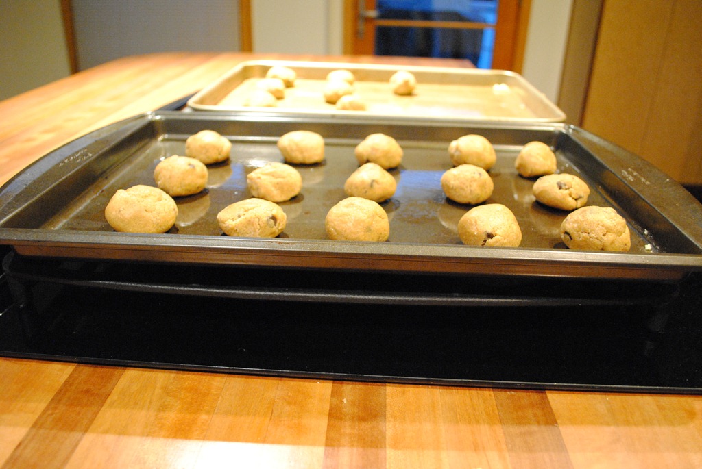 Making Cookie Dough with the Ninja Mega Kitchen System
