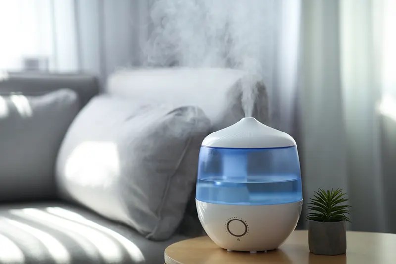 Humidifier Test 2024 The 7 Best Humidifier Test'N'Reviews