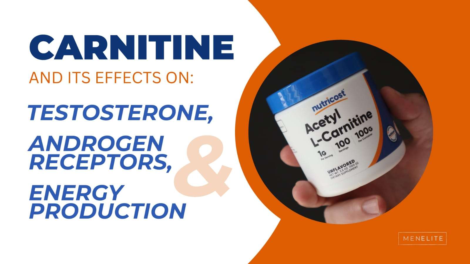 AcetylLcarnitine to maximize testosterone and erections » TESTONATION