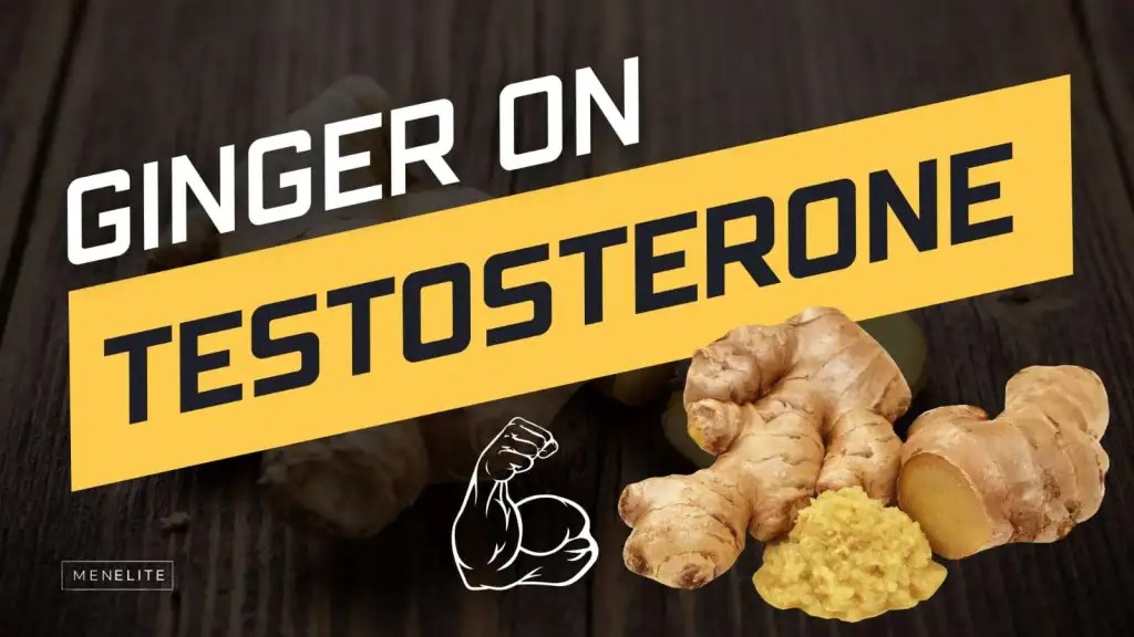 Ginger on Testosterone the Mighty Root