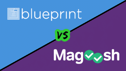 Blueprint vs Magoosh MCAT (2021) Detailed Comparison