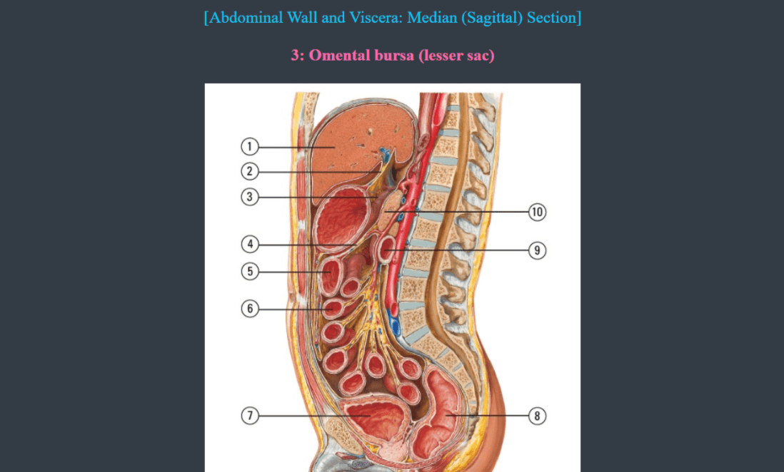 Best Anki Deck For Step 1 2024 [ANKI USMLE GUIDE]