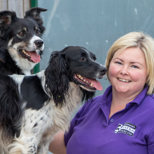 Meet the Team to Tethera! Meet the Team Tethera Vets