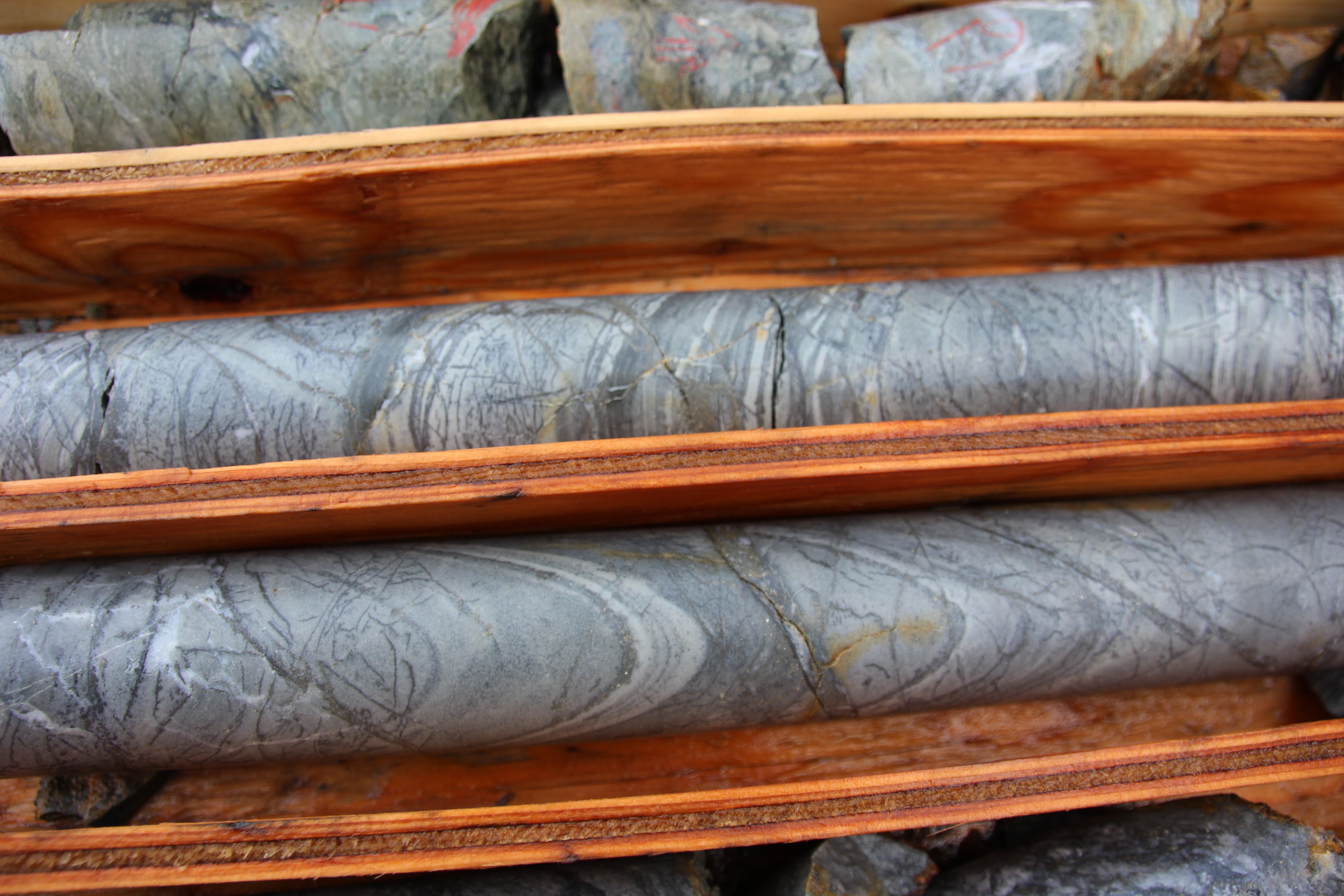 Tuck Property Teuton