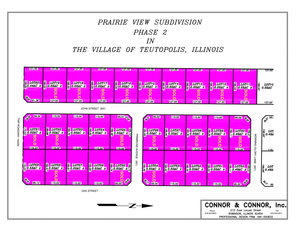 Home Village of Teutopolis