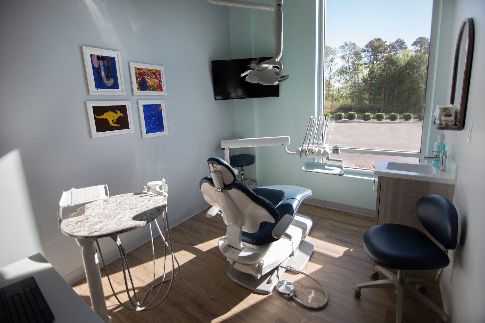 Mint Leaf Dental TEW Design Studio