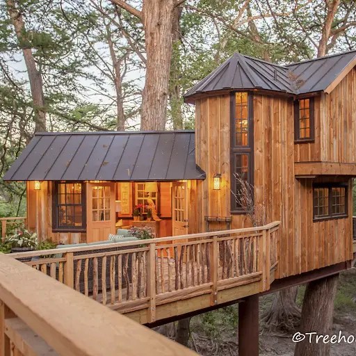 Take a Walk on the Wild Side with 10 Breathtaking Texas Treehouse