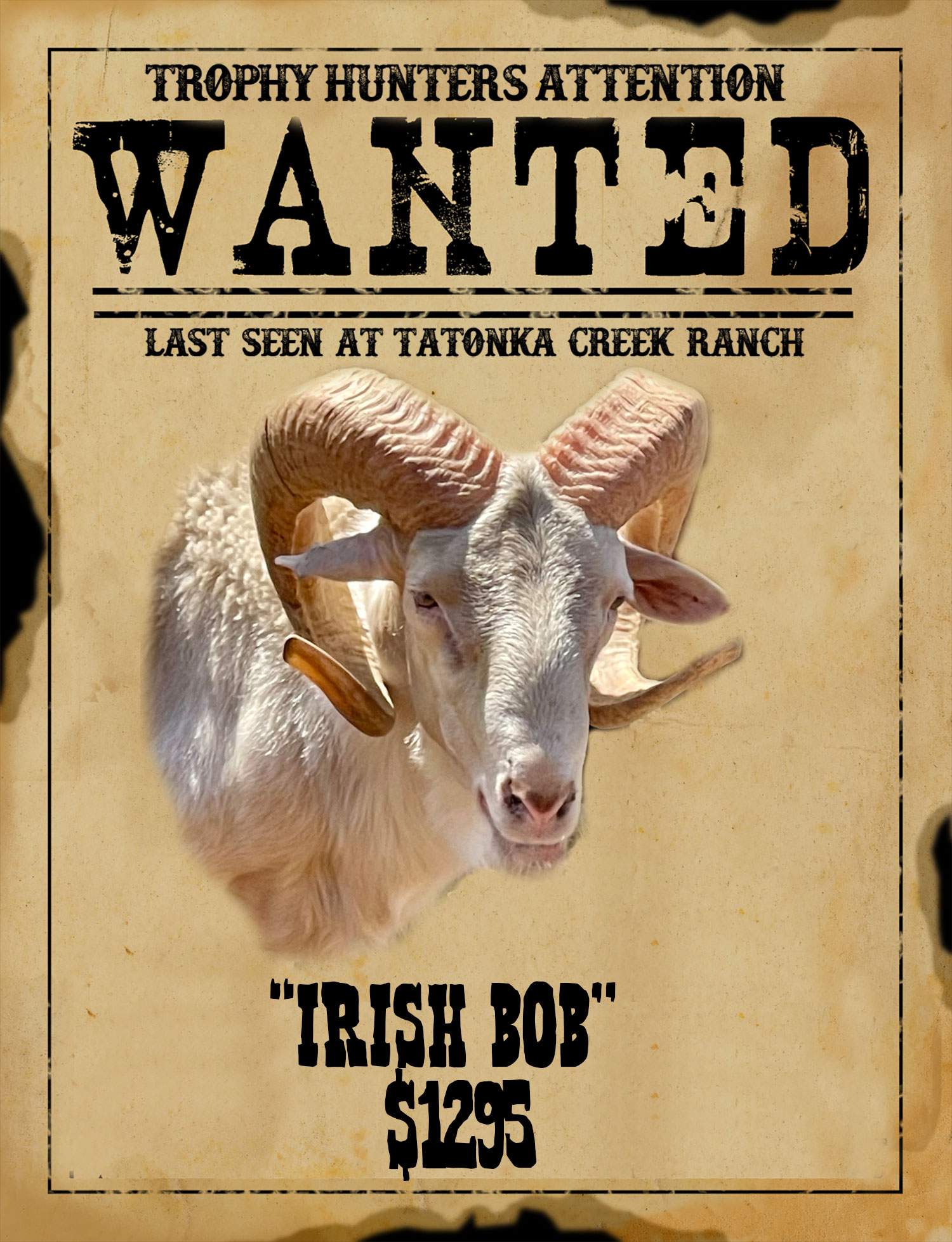 Specials Tatonka Creek Ranch