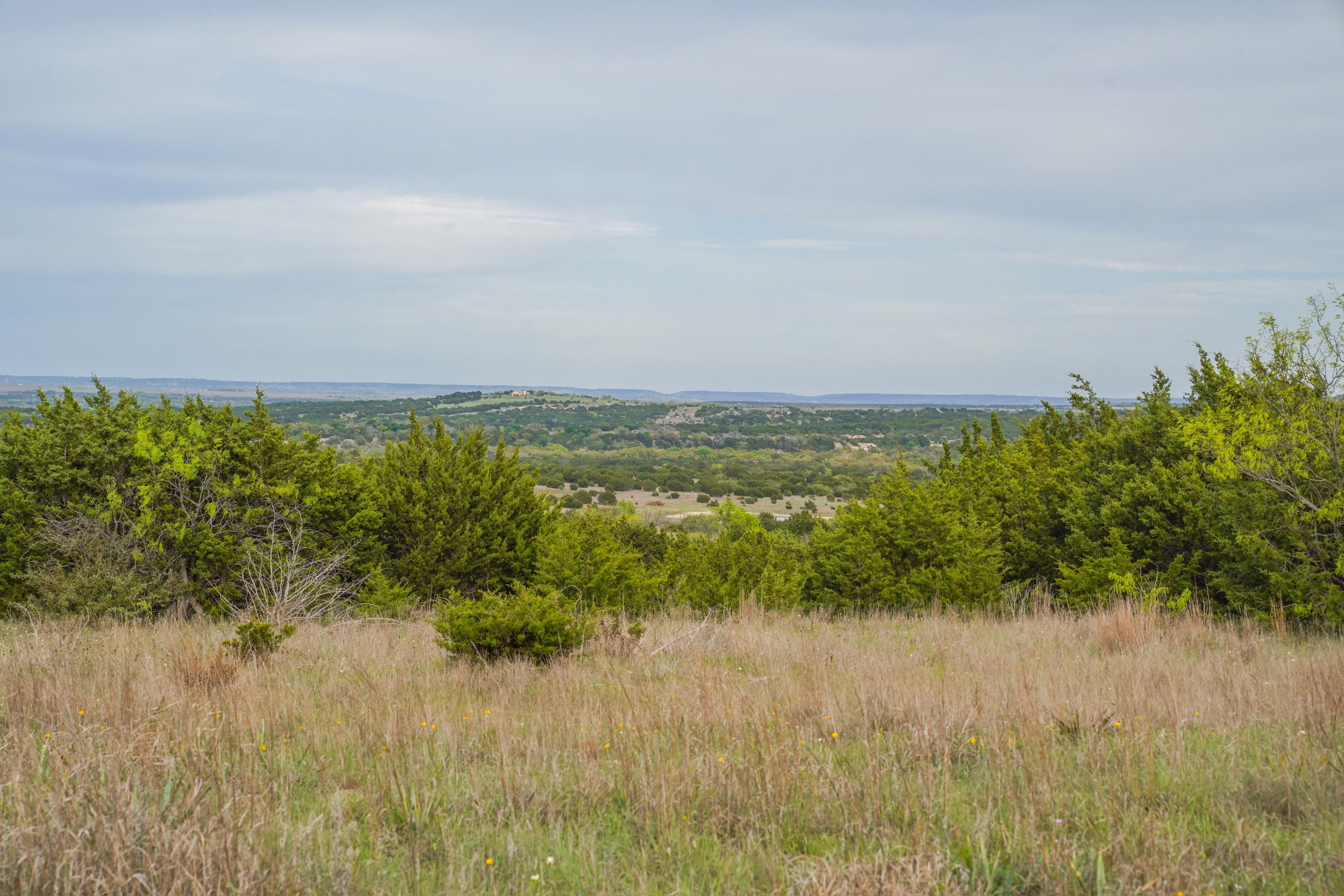 Small Ranches for Sale in Texas TexasLand