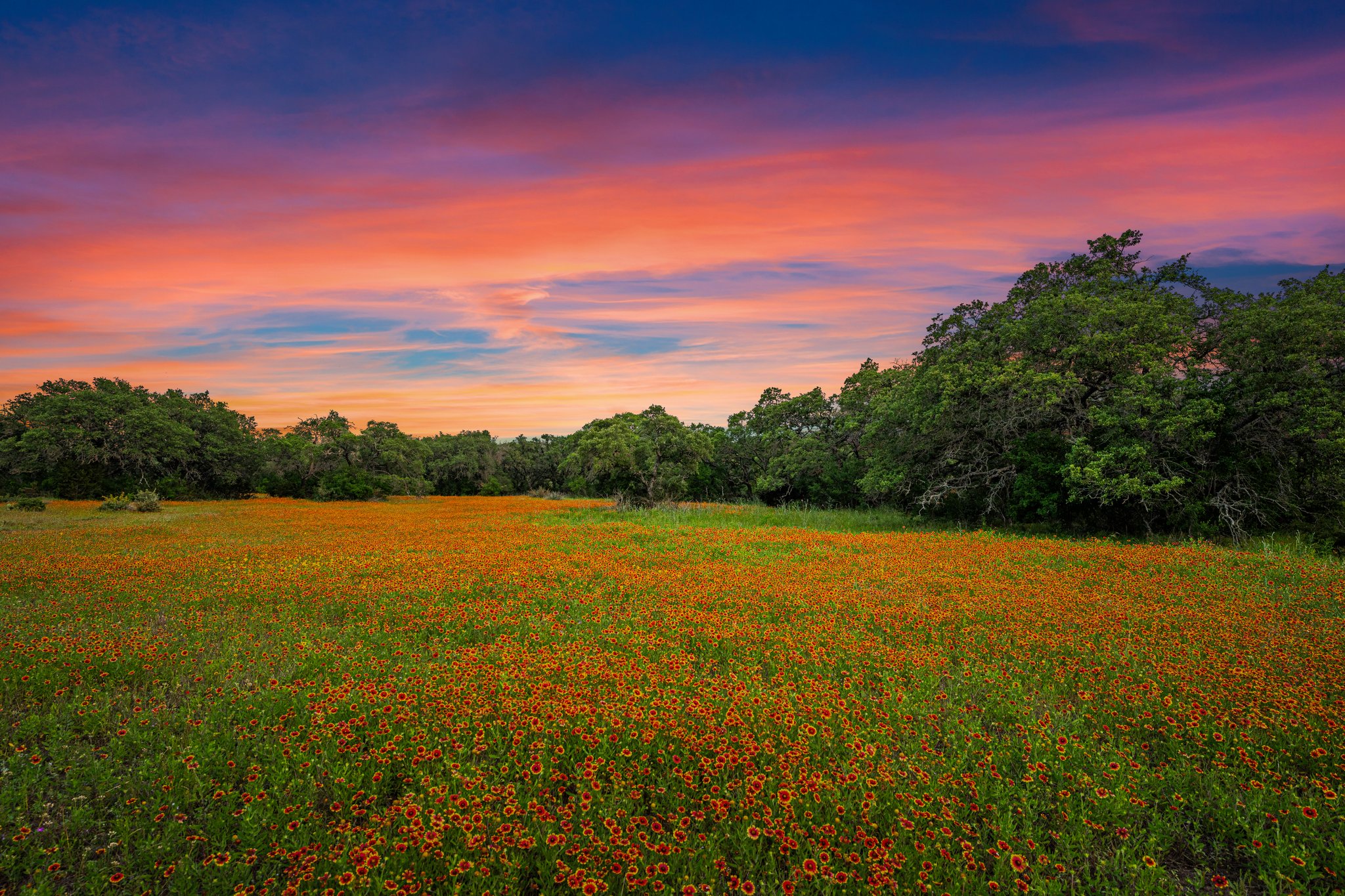 TBD Yeager Creek Rd Johnson City, TX 215 acres Live Water TexasLand