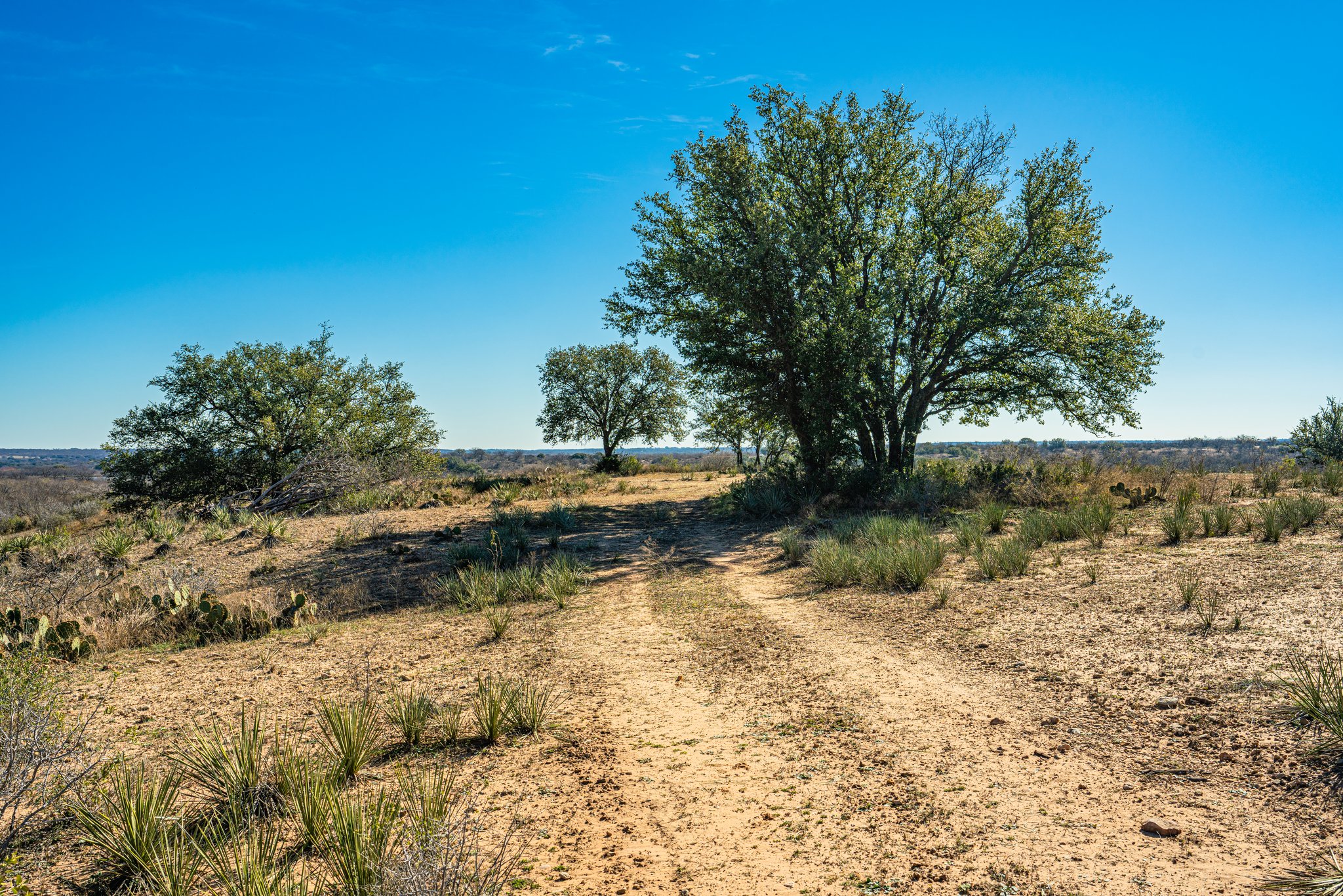 Gentleman’s Ranch in Brown County 14901 Hwy 377, Brookesmith, TX