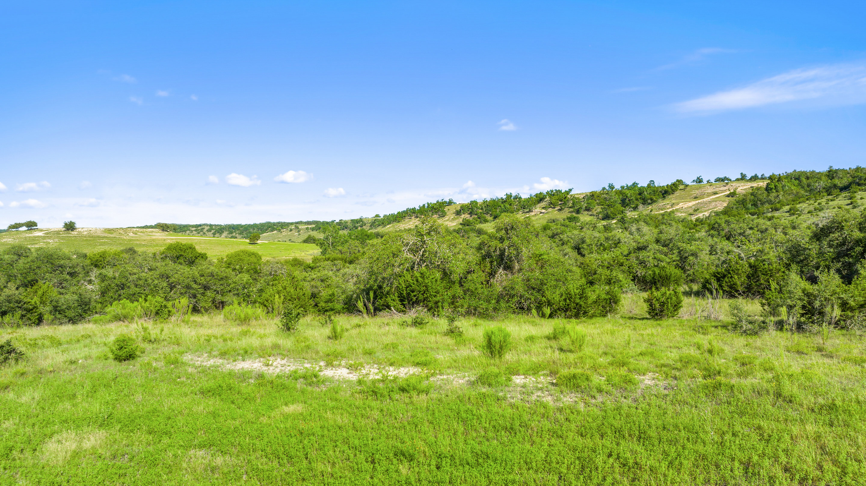 Hill Country Ranches For Sale TexasLand