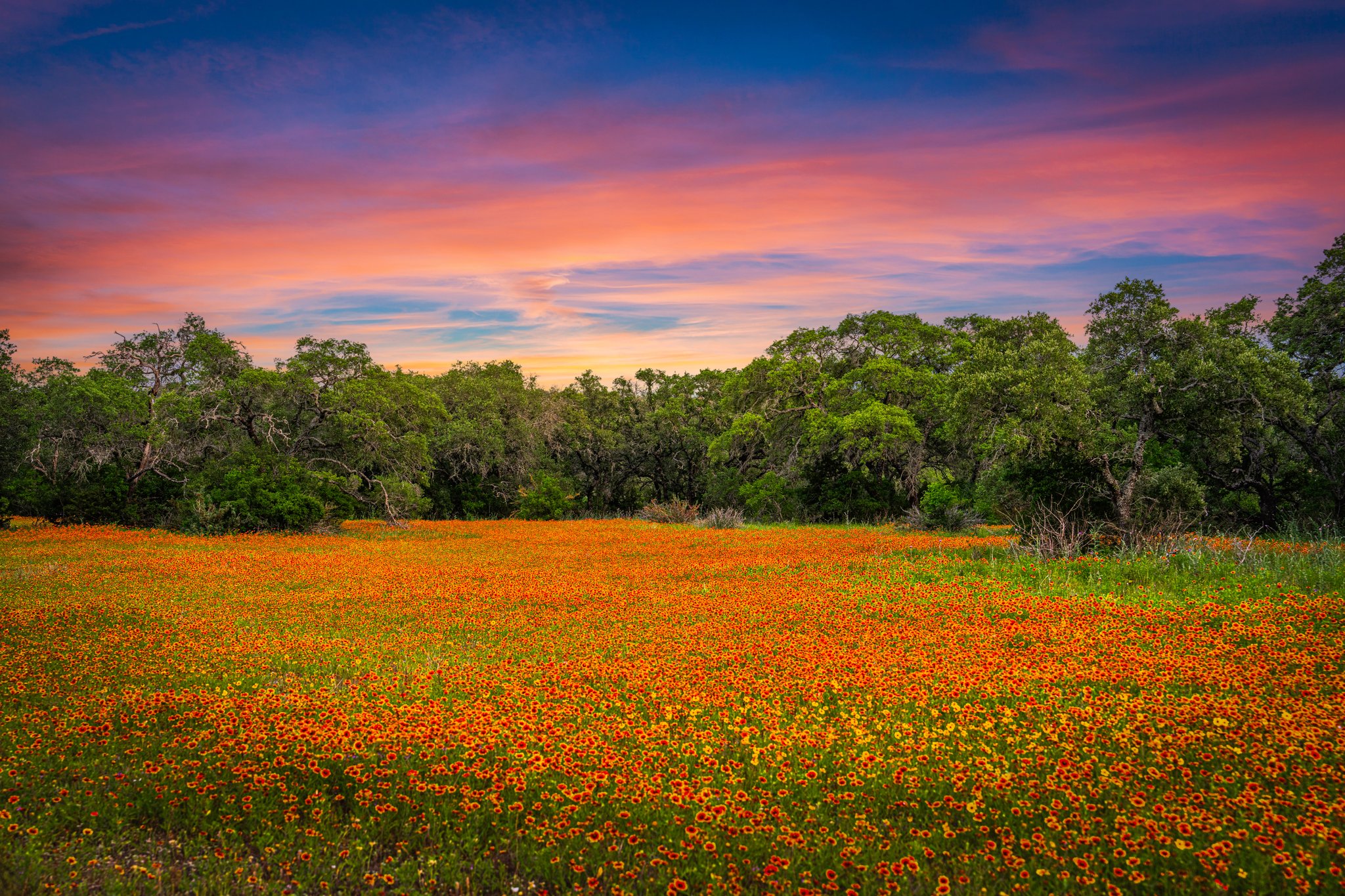 TBD Yeager Creek Rd Johnson City, TX 215 acres Live Water TexasLand