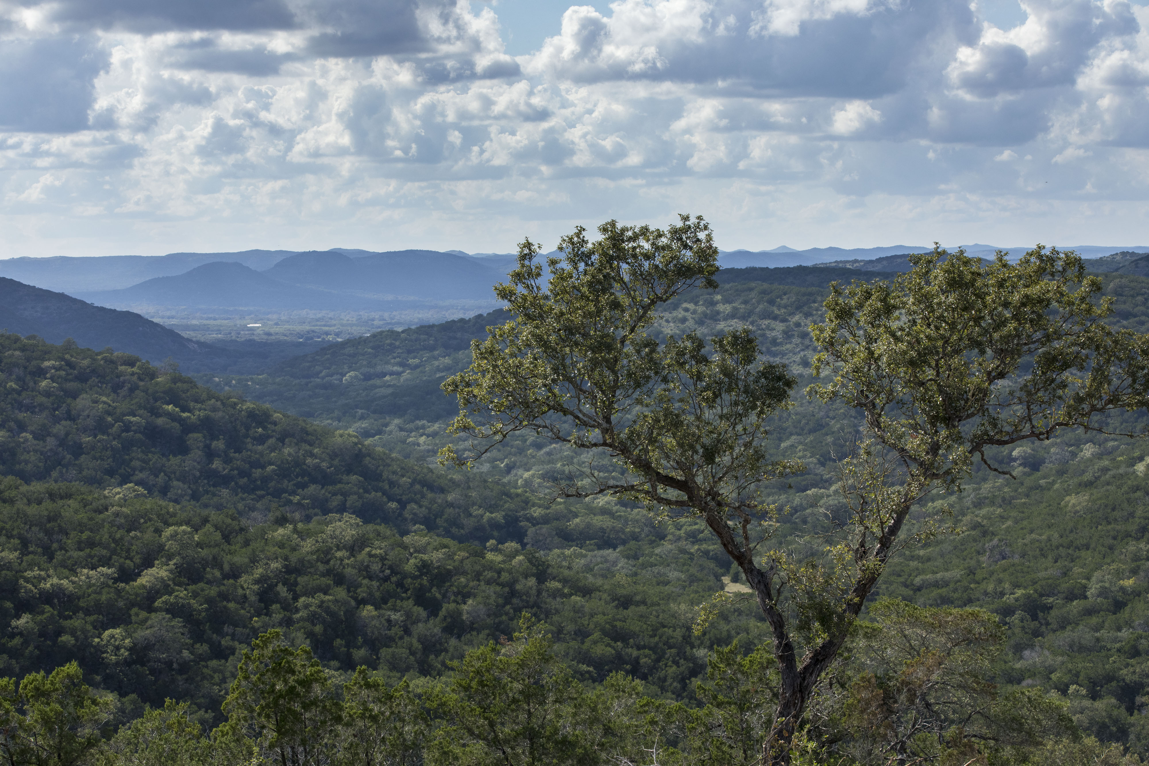 High Fence Ranches For Sale in Texas TexasLand