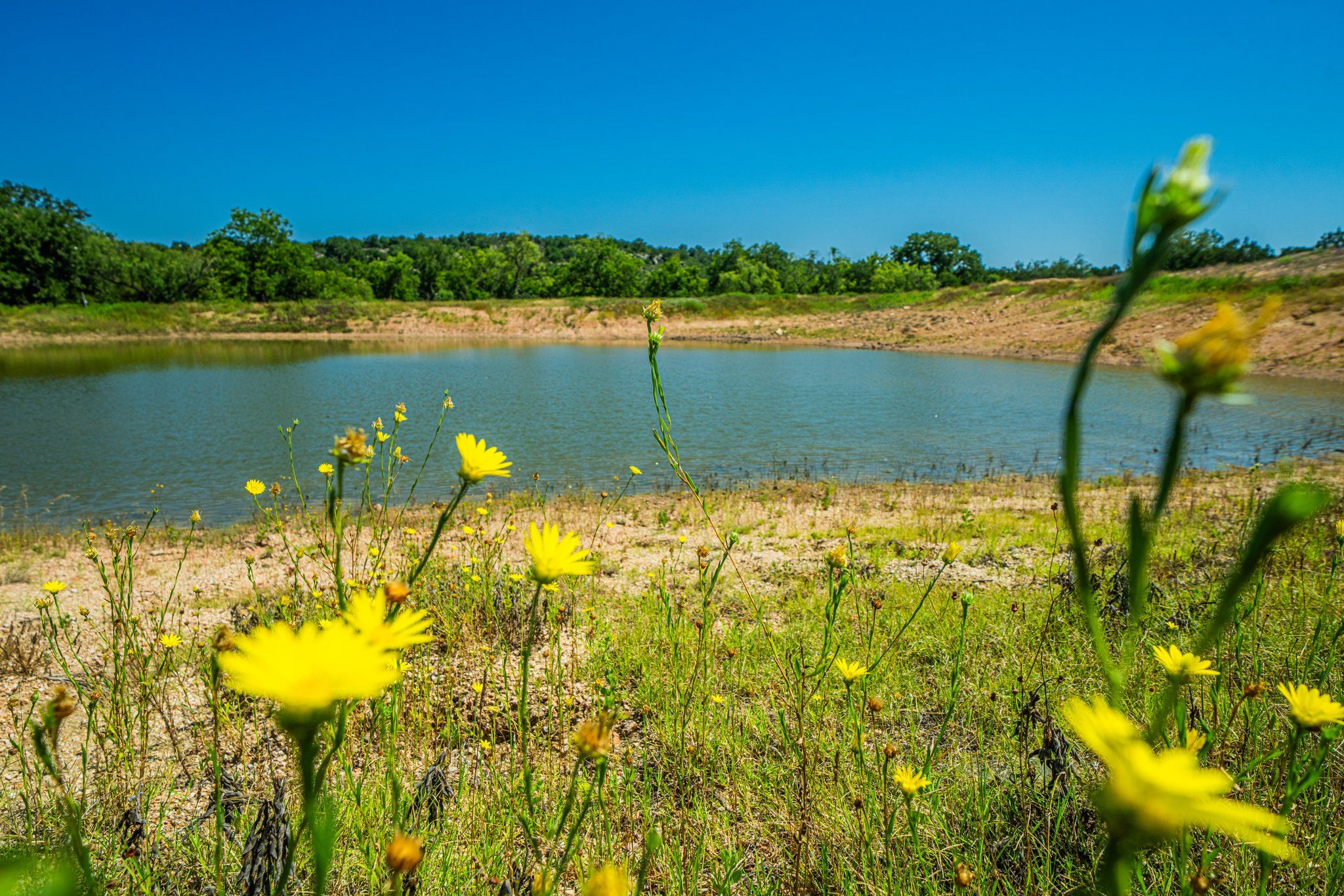 Grape Creek Ranch TexasLand