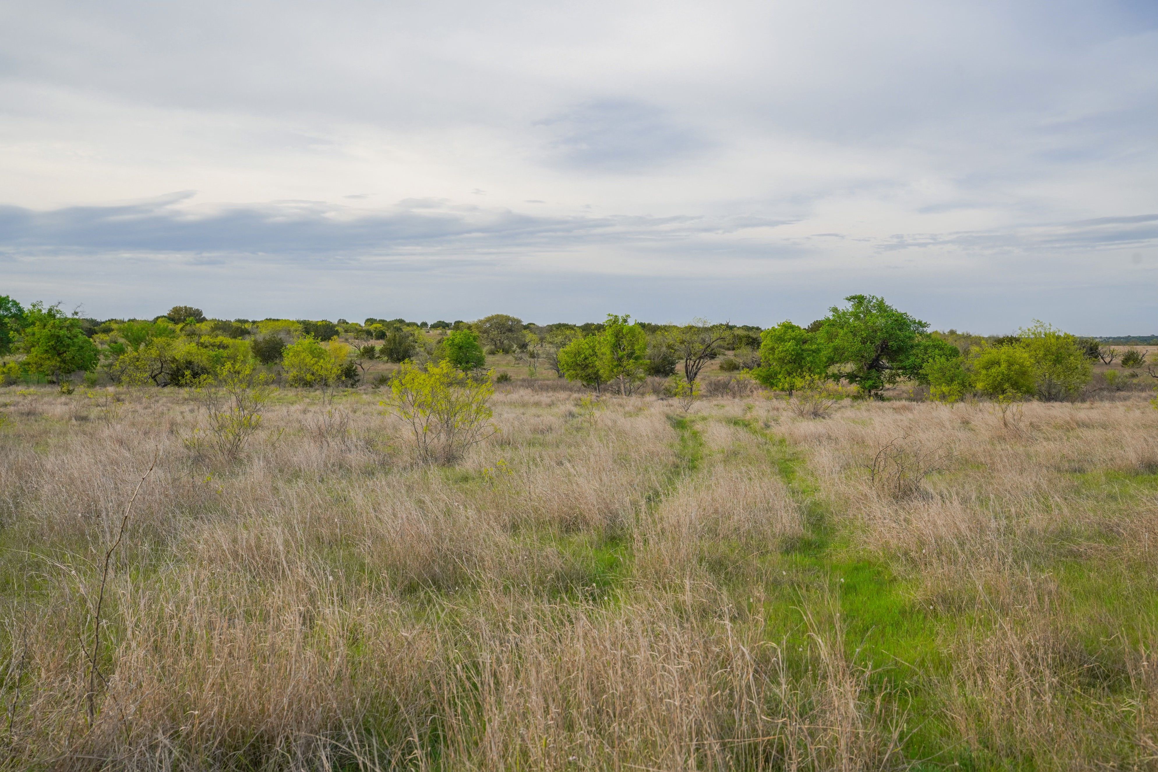 Small Ranches for Sale in Texas TexasLand