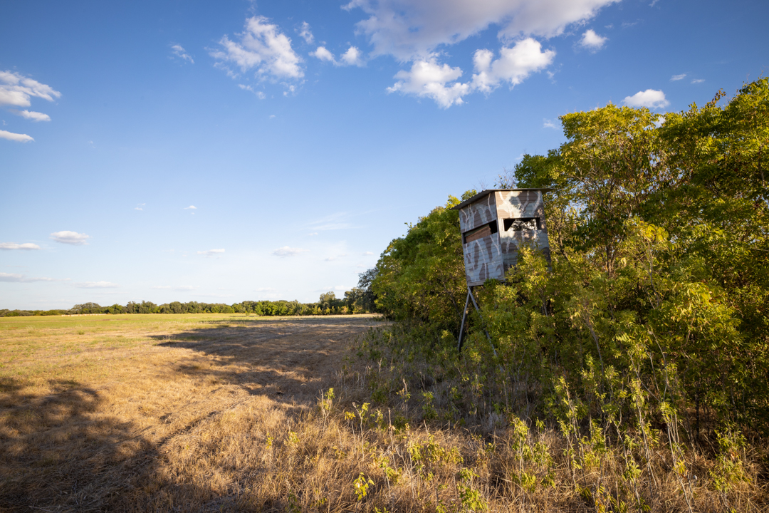 La Fe Ranch 234 ACs Florence, TX TexasLand
