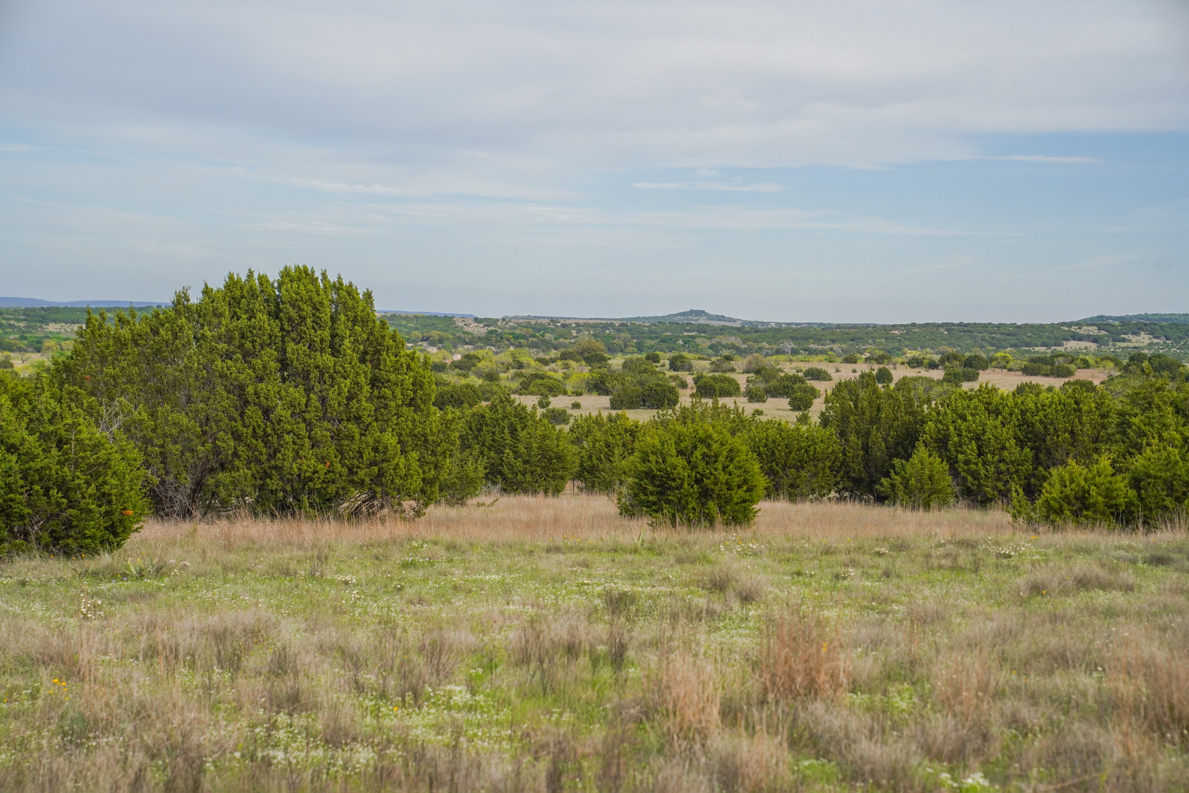 Hill Top Ranch 15.3 Acres Lometa, TX TexasLand