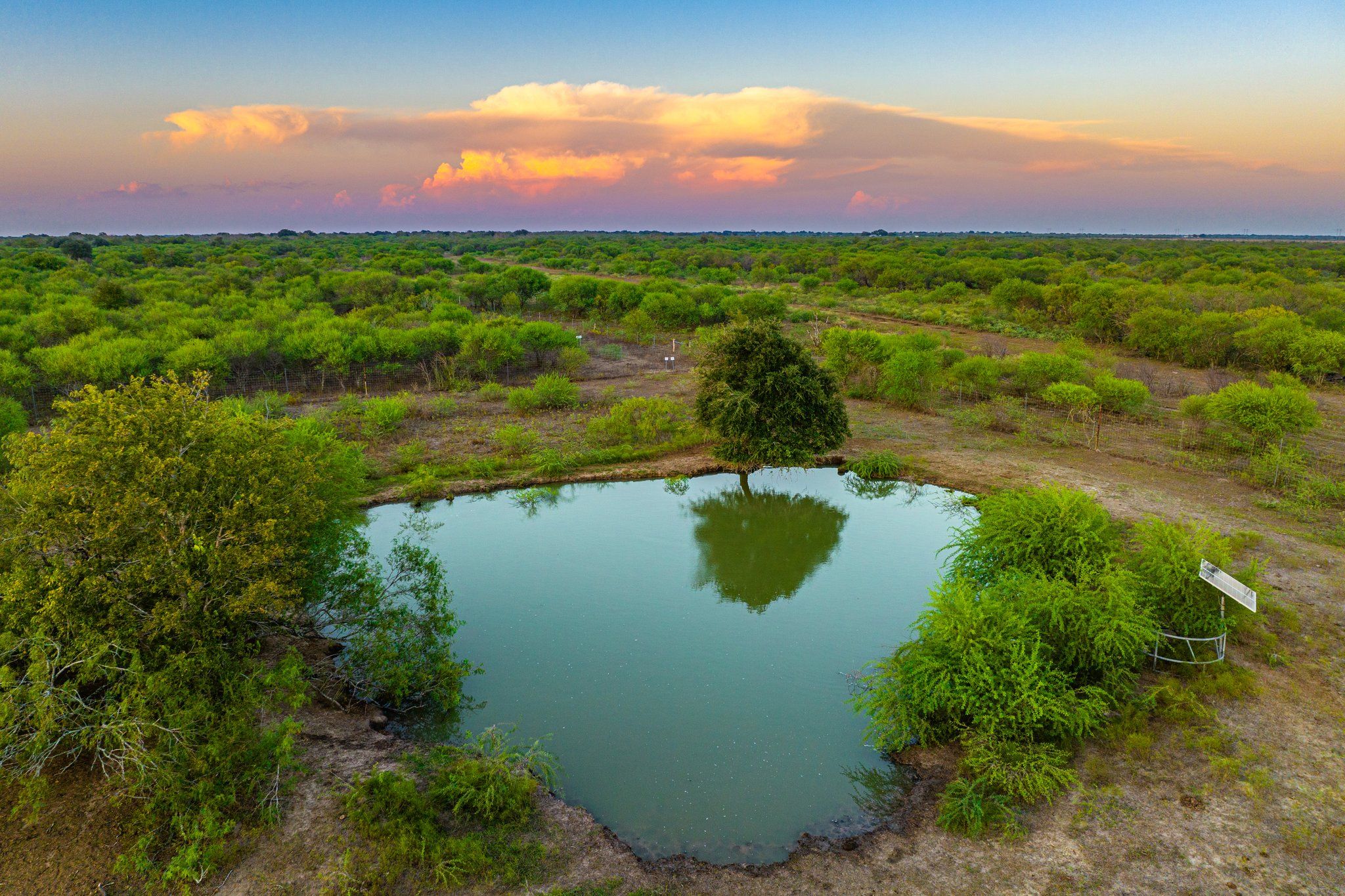 South Texas Ranches for Sale TexasLand