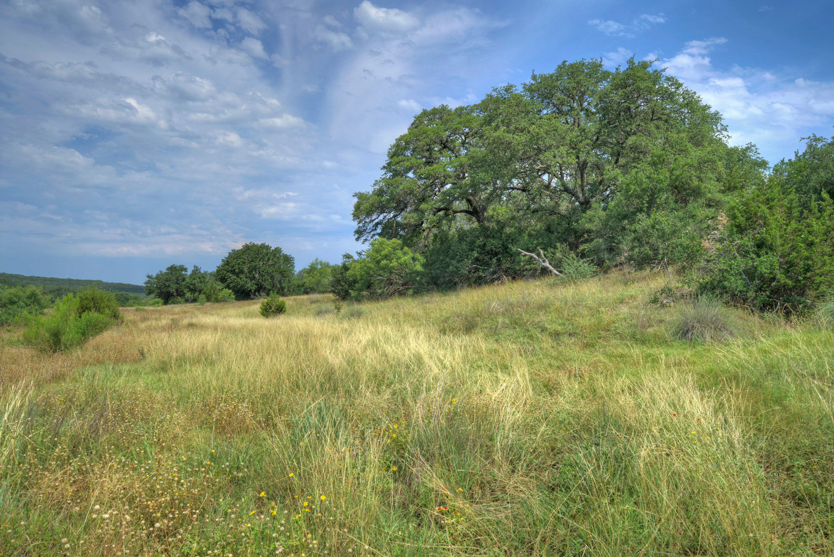 Large Ranches for Sale in Texas TexasLand