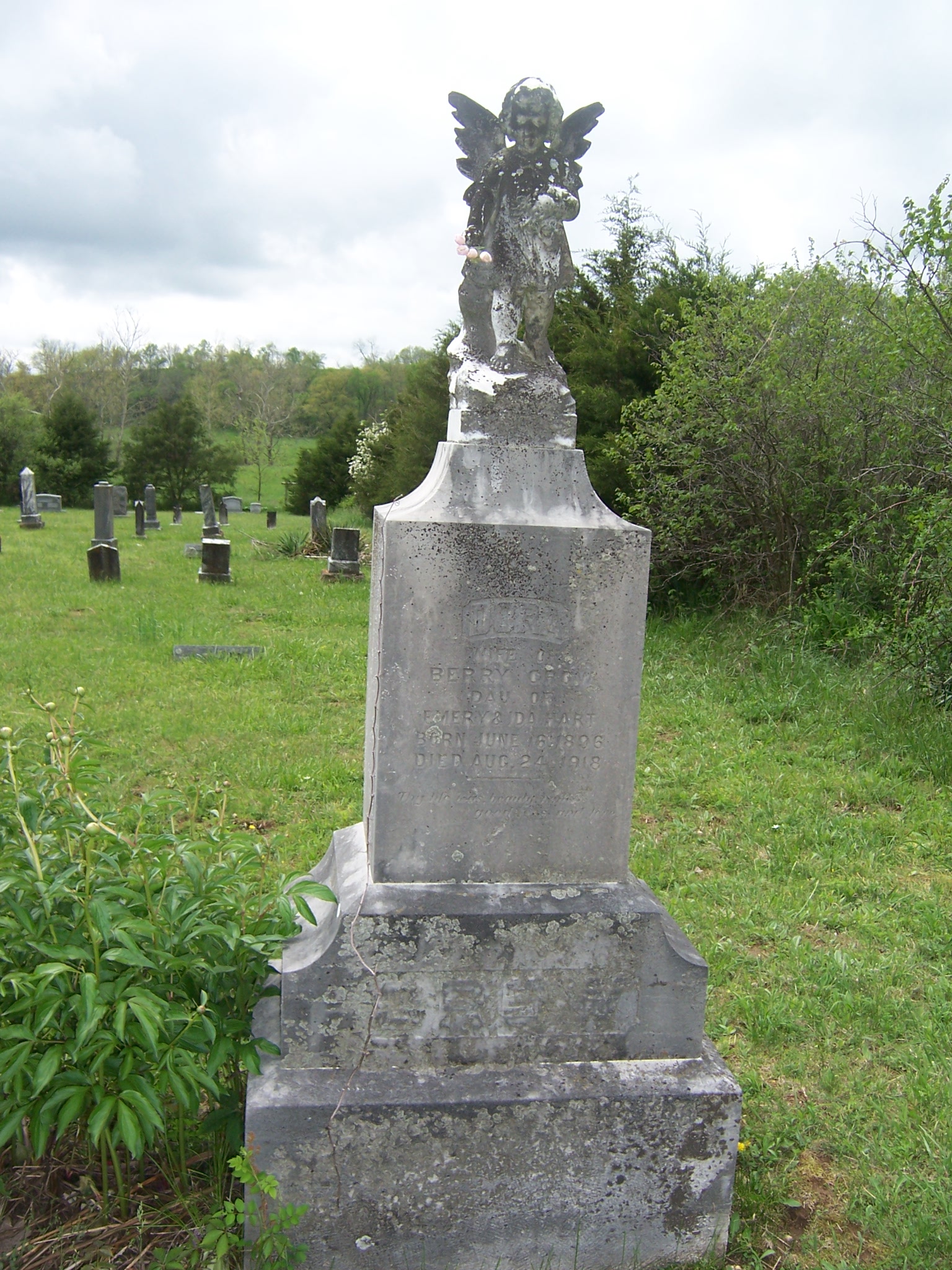 Liberty Cemetery, Texas County Missouri