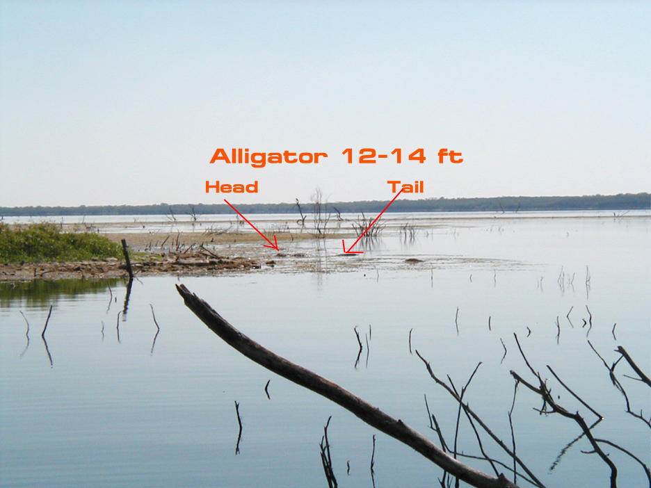 Texas Alien Fishing Log