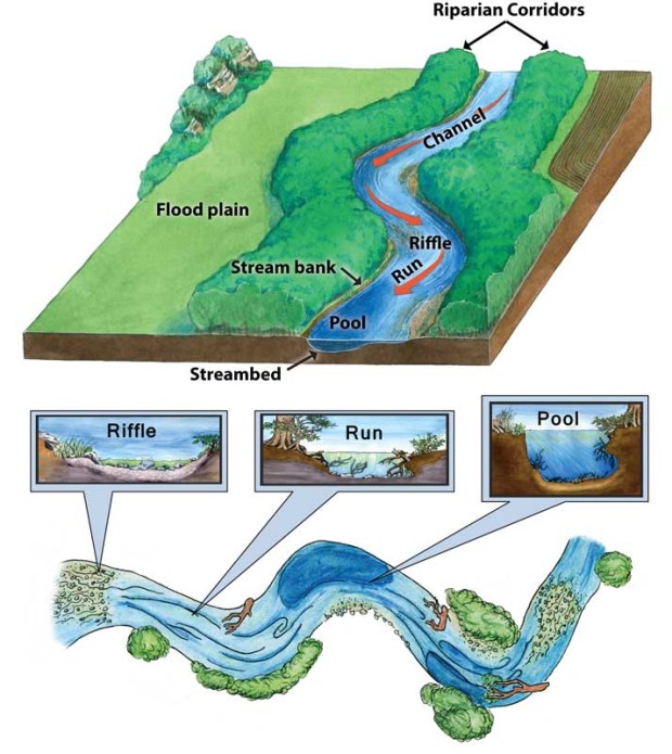 Streams and Rivers Texas Aquatic Science Curriculum Rudolph Rosen