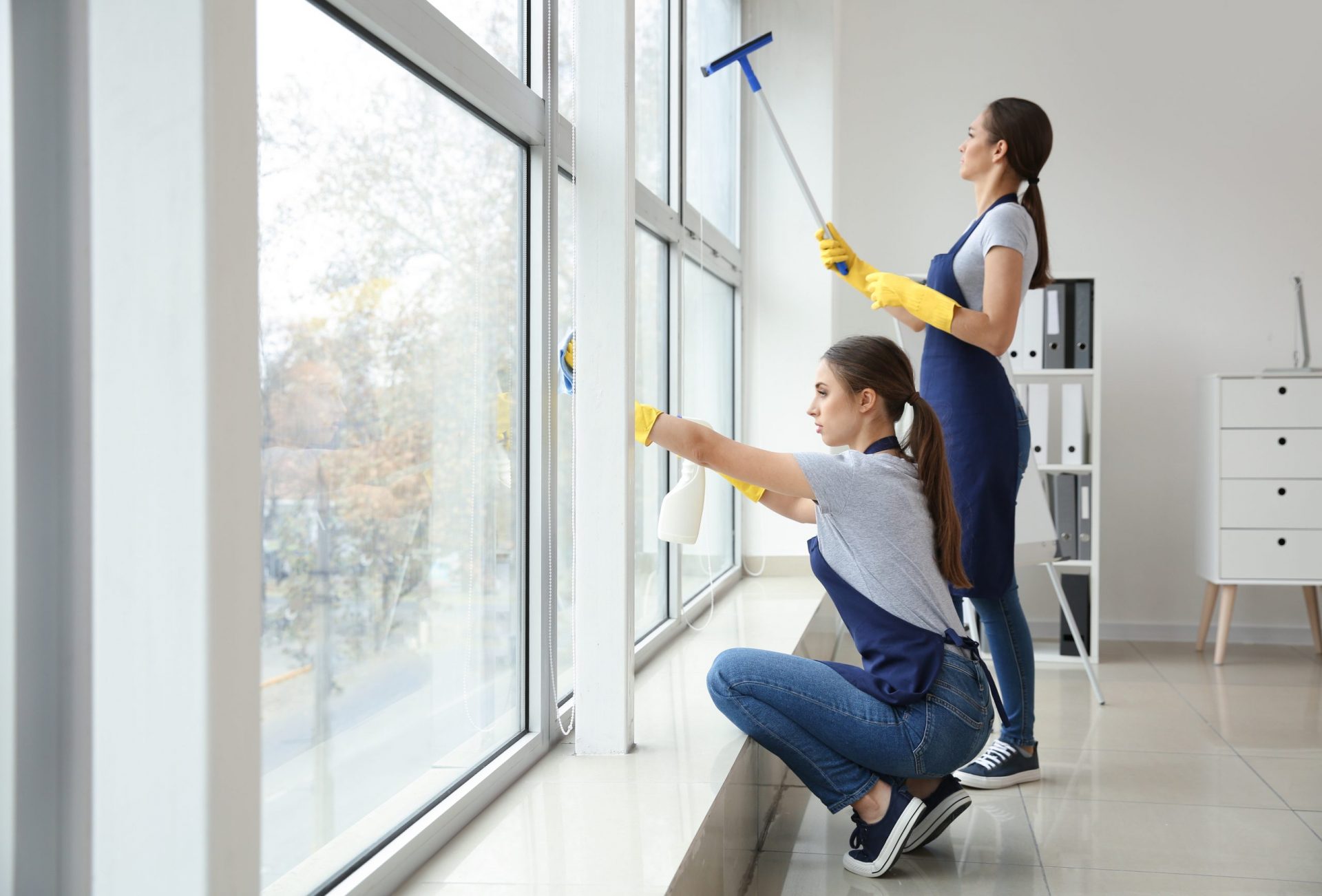 Residential Window Cleaning Texas Best DFW