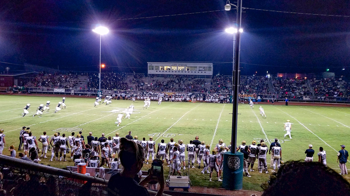 Lion Stadium Livingston, Texas