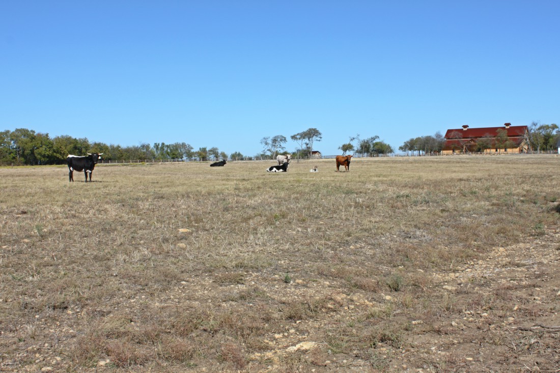 Chapel Creek Ranch Texas Bomanite