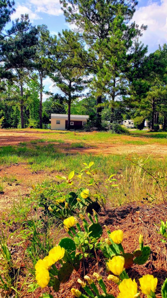 Timberline RV Park Texas Campgrounds