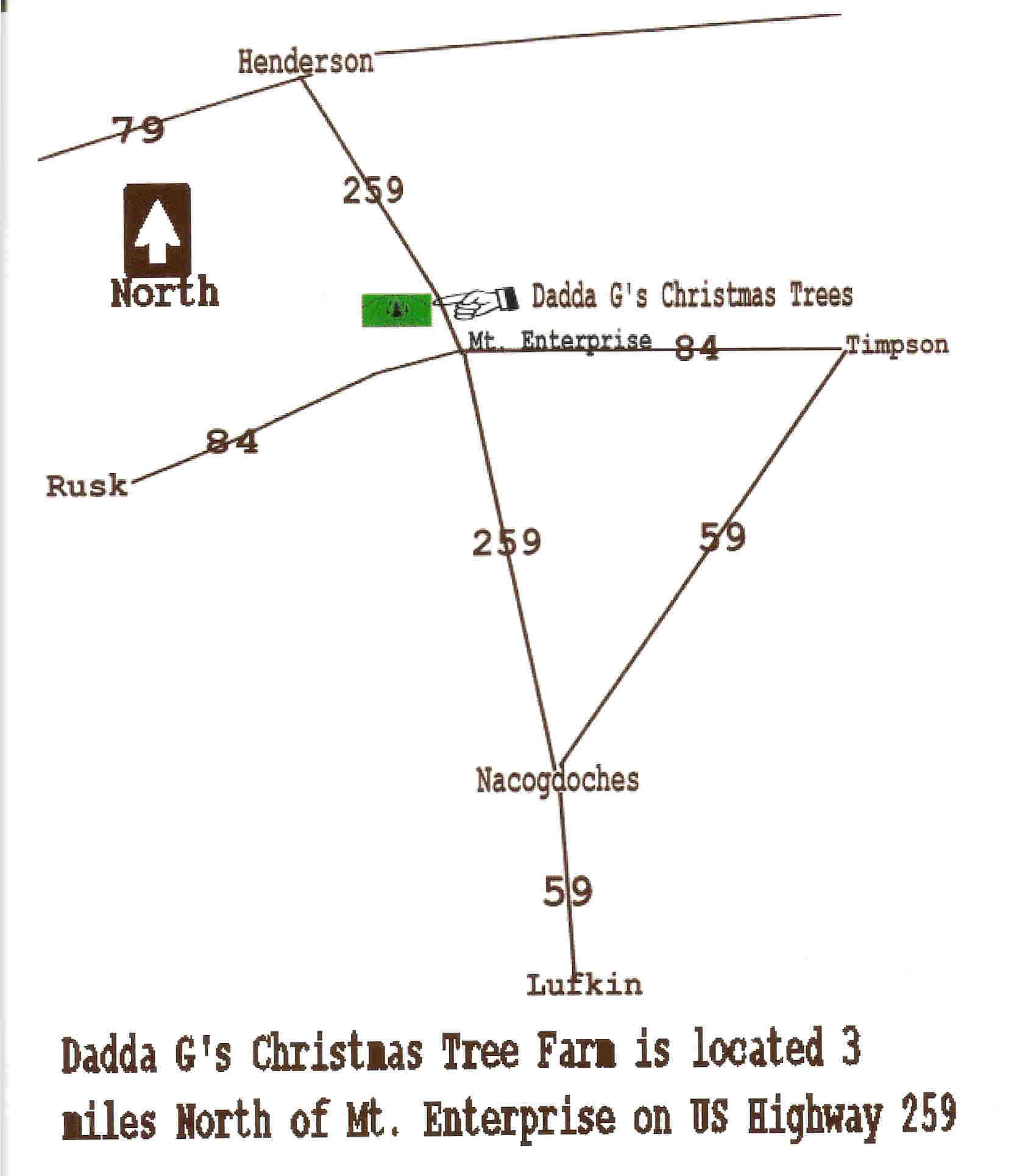 Dadda's G's Christmas Trees