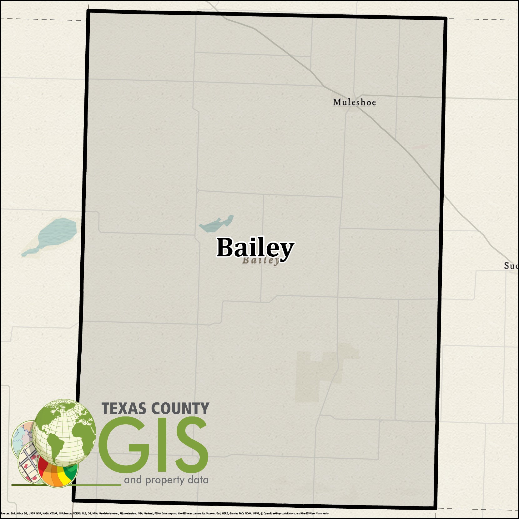 Bailey County DGN and Property Data Texas County GIS Data