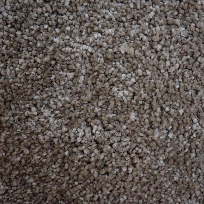 Montauk Texas Direct Carpet