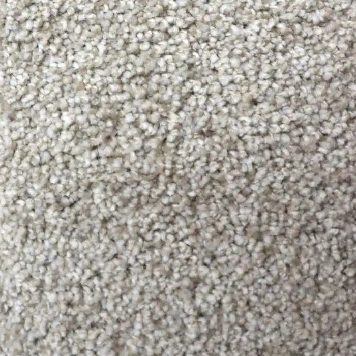 Starstruck Texas Direct Carpet