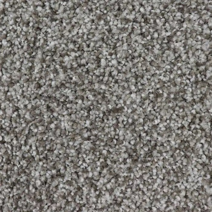 Take The Floor Tonal II Texas Direct Carpet
