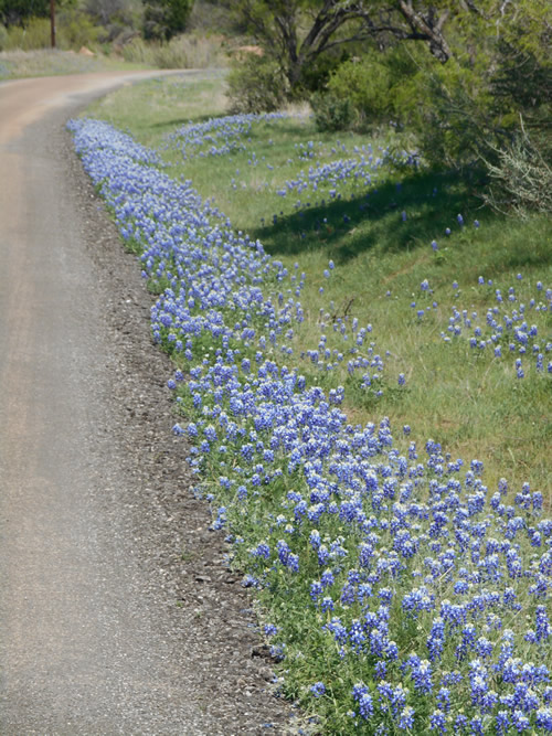 The Willow City Loop, Texas Hill Country scenic drive.